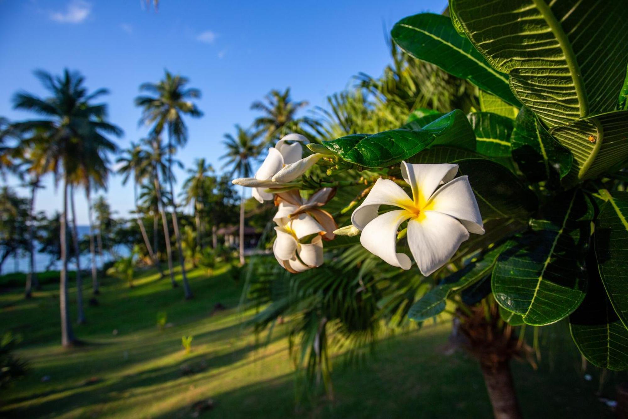 Ban Raya Resort And Spa Ko Racha Yai Buitenkant foto