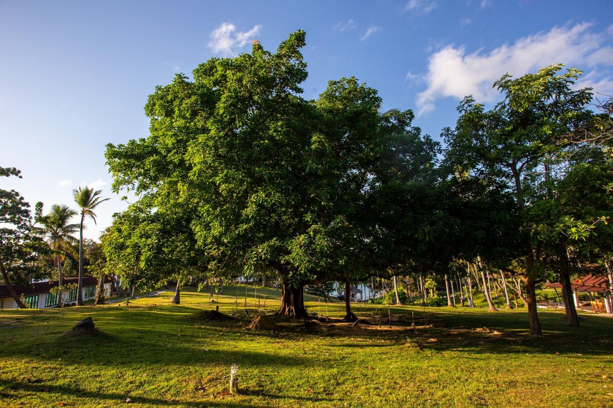 Ban Raya Resort And Spa Ko Racha Yai Buitenkant foto